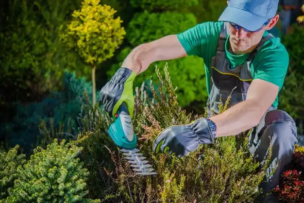 landscaping services Murray City